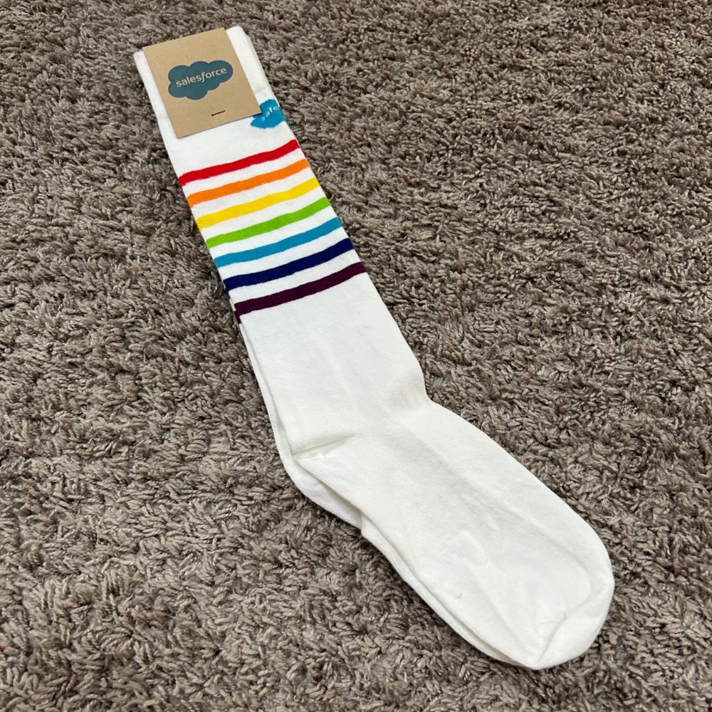 Salesforce Rainbow Stripe Crew Socks‎ Pride Cotton pride Sock Club NWT